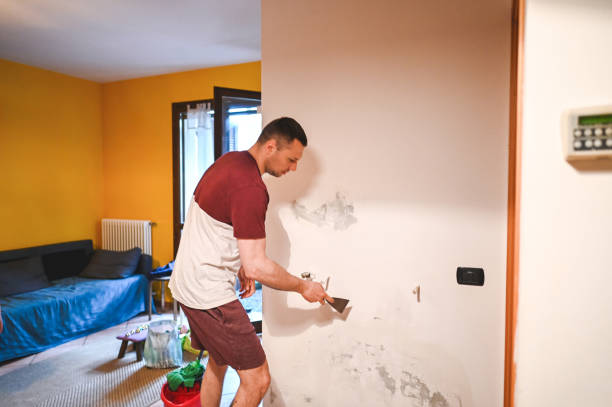 Best Black Mold Removal  in North Industry, OH