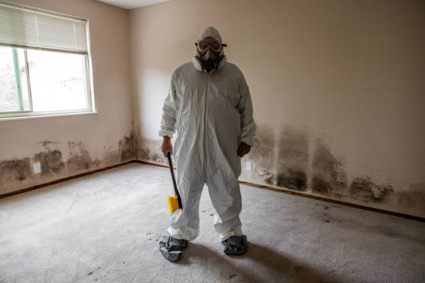 Best Emergency Mold Removal  in North Industry, OH